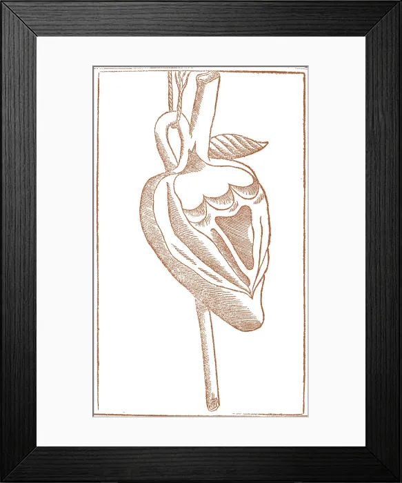 Framed Print : Jacopo Berengario da Carpi, Heart Framed Print : Jacopo Berengario da Carpi, Heart