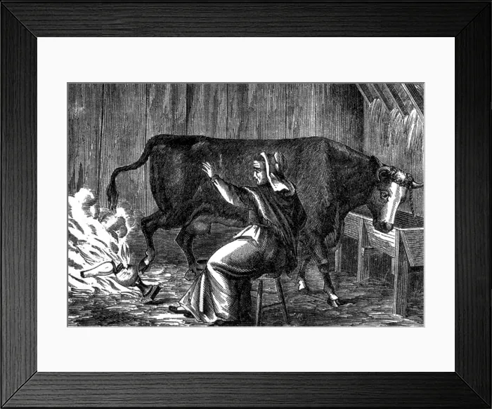 Framed Print : Mrs. O'Leary's Cow, The Great Chicago Fire, 1871 Framed Print : Mrs. O'Leary's Cow, The Great Chicago Fire, 1871