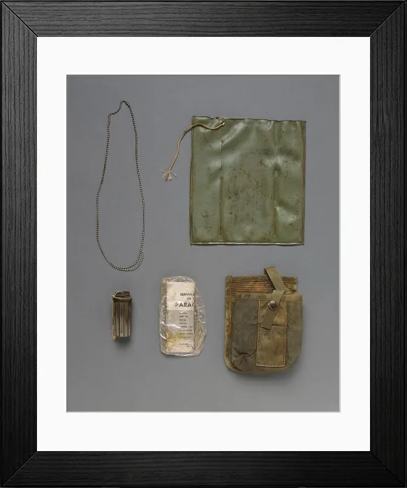 Framed Print : Unknown Soldier Identified, Mitochondrial DNA Testing