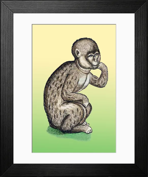 Framed Print : Gessner, Monkey, 16th Century Framed Print : Gessner, Monkey, 16th Century