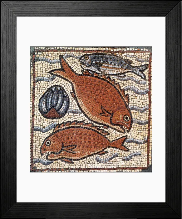 Framed Print : Marine Fauna, Byzantine Mosaic, 6th Century Framed Print : Marine Fauna, Byzantine Mosaic, 6th Century