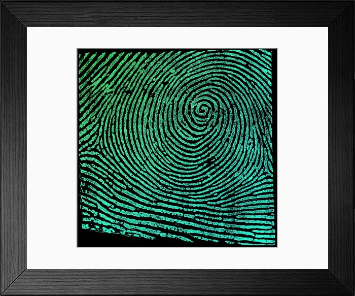 Framed Print : Typical Whorl Pattern, 1900 Framed Print : Typical Whorl Pattern, 1900