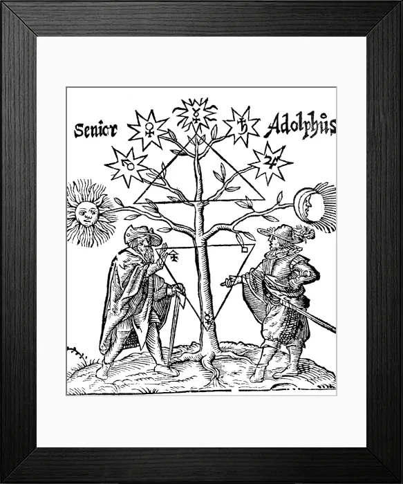 Framed Print : Alchemical Celestial Tree Framed Print : Alchemical Celestial Tree
