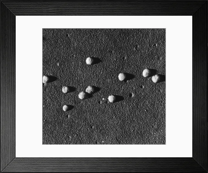 Framed Print : Influenza Virus Framed Print : Influenza Virus