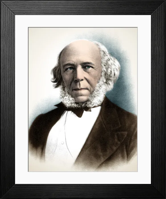 Framed Print : Herbert Spencer, English Polymath Framed Print : Herbert Spencer, English Polymath