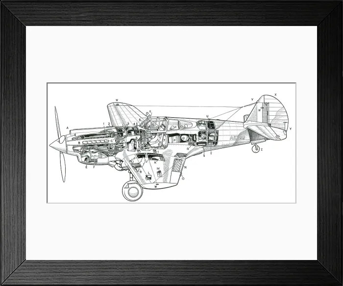 Framed Print : P-40 Tomahawk IIB Framed Print : P-40 Tomahawk IIB