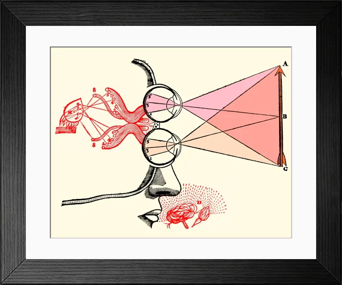 Framed Print : Rene Descartes, Vision and Perception Framed Print : Rene Descartes, Vision and Perception