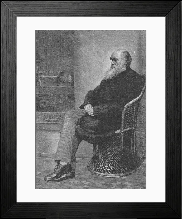 Framed Print : Charles Darwin, English Naturalist Framed Print : Charles Darwin, English Naturalist