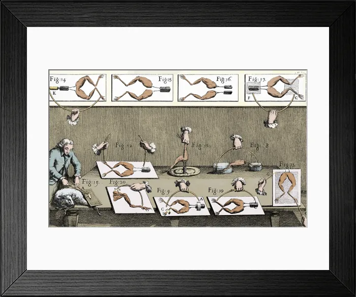 Framed Print : Luigi Galvani Experiments Framed Print : Luigi Galvani Experiments
