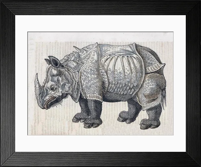 Framed Print : Durer, Rhinoceros, 16th Century Framed Print : Durer, Rhinoceros, 16th Century