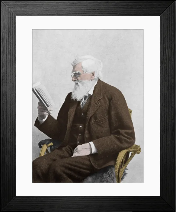 Framed Print : Alfred Russel Wallace, Welsh Naturalist Framed Print : Alfred Russel Wallace, Welsh Naturalist