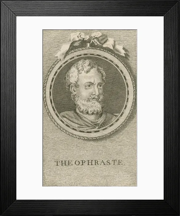 Framed Print : Theophrastus, Ancient Greek Polymath