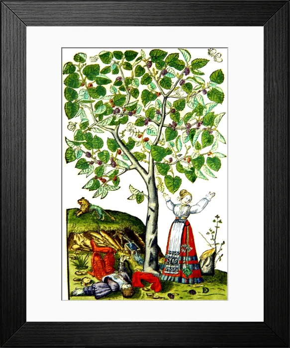 Framed Print : Ovid's Pyramus and Thisbe Myth