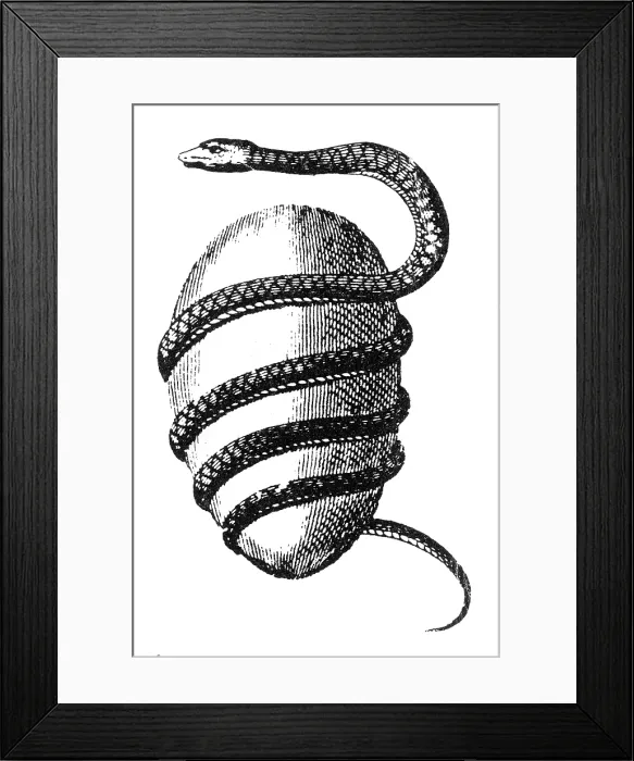 Framed Print : Cosmology, Orphic Egg, Source of the Universe Framed Print : Cosmology, Orphic Egg, Source of the Universe