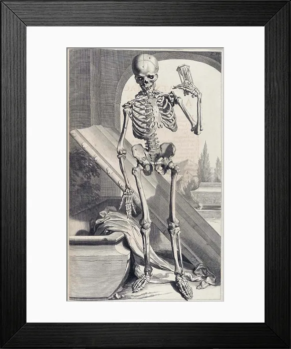 Framed Print : Anatomia humani corporis, Table 87, 1690 Framed Print : Anatomia humani corporis, Table 87, 1690