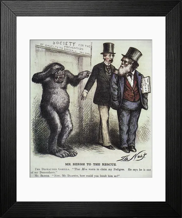 Framed Print : Mr. Bergh to the Rescue Framed Print : Mr. Bergh to the Rescue