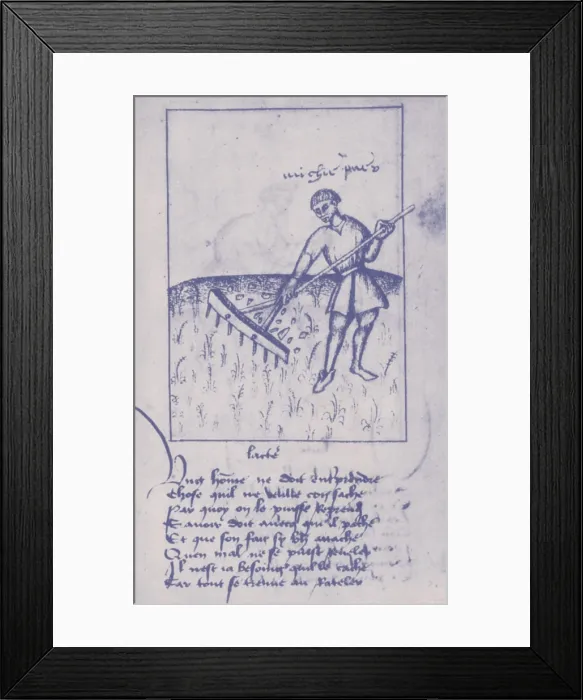 Framed Print : Agriculture, 15th Century Framed Print : Agriculture, 15th Century