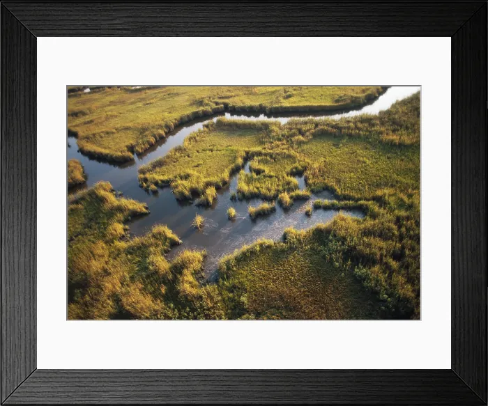 Framed Print : Salt Marsh Framed Print : Salt Marsh