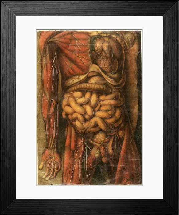 Framed Print : Anatomie Generale Des Visceres