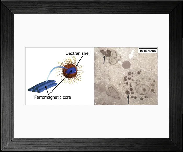Framed Print : Nanoparticles, Medicine Framed Print : Nanoparticles, Medicine