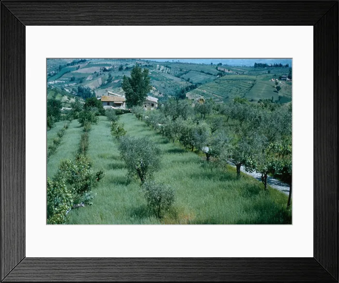 Framed Print : San Gimignano Agriculture
