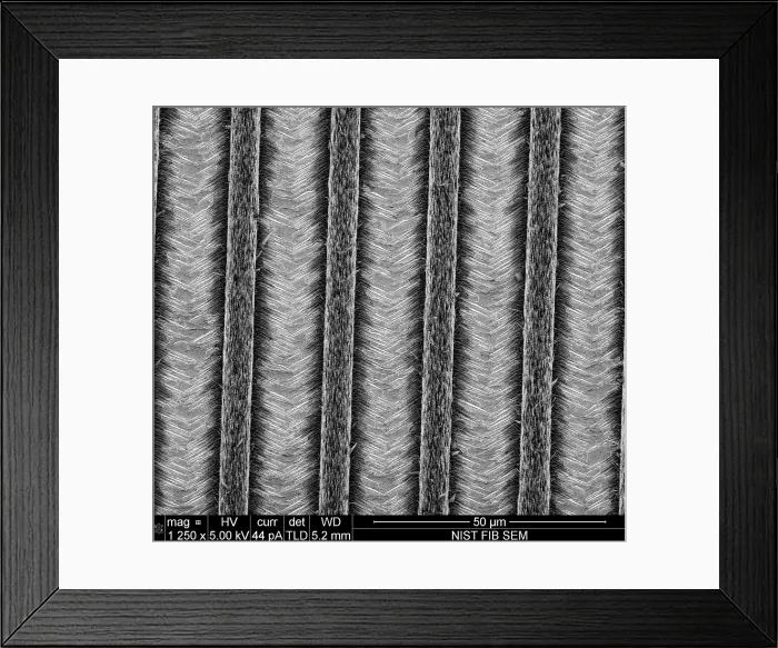 Framed Print : Nanowires, Nanowalls, under a microscope (SEM)