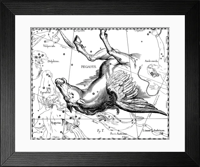 Framed Print : Pegasus Constellation, Hevelius, 1687
