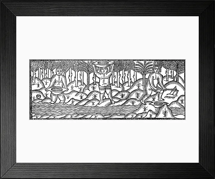 Framed Print : Panning for Gold in the New World, 16th Century