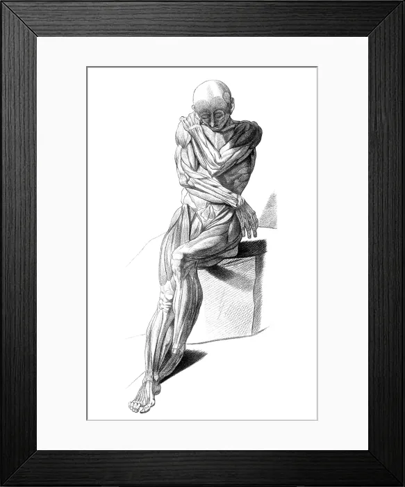 Framed Print : Jacques Gamelin, Nouveau d'osteologie, 1779 Framed Print : Jacques Gamelin, Nouveau d'osteologie, 1779