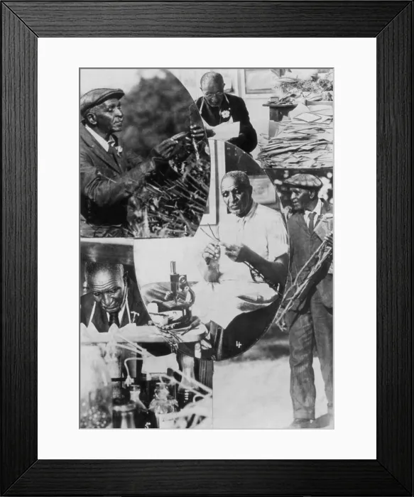 Framed Print : George W. Carver, American Scientist Framed Print : George W. Carver, American Scientist