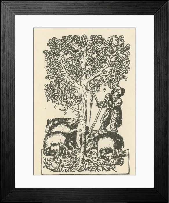 Framed Print : 'The Best Ham Grows On Oaks' Framed Print : 'The Best Ham Grows On Oaks'