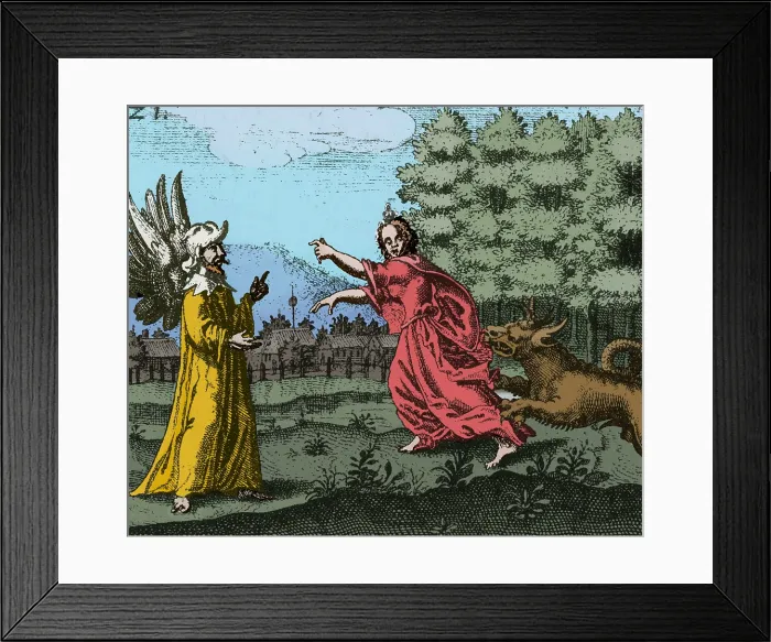 Framed Print : Alchemy Illustration Framed Print : Alchemy Illustration
