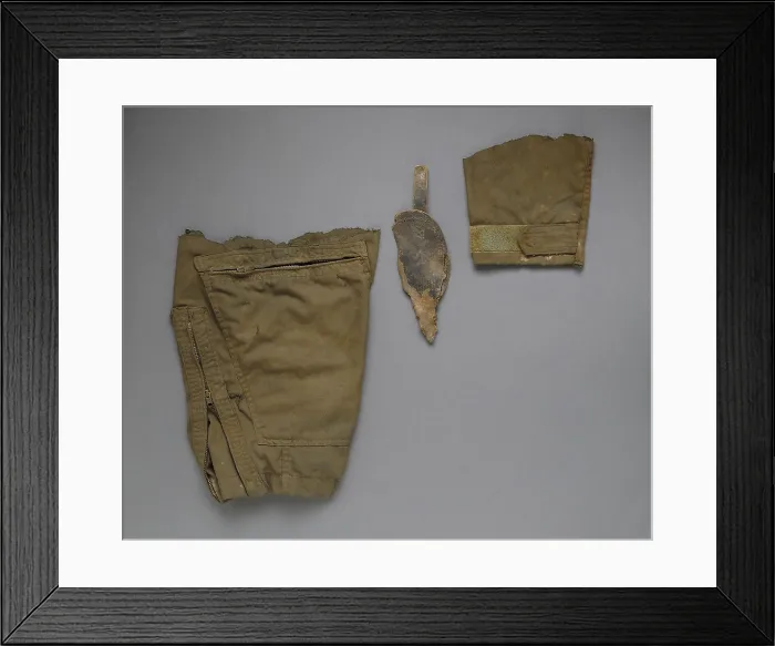 Framed Print : Unknown Soldier Identified, Mitochondrial DNA Testing
