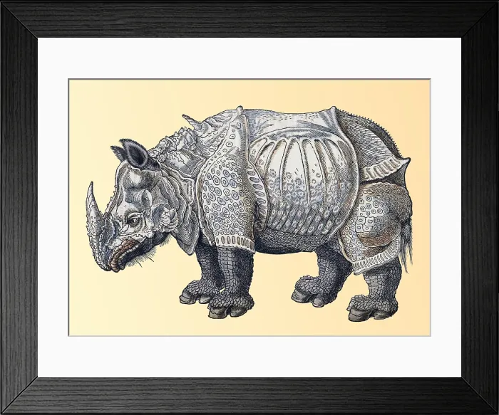 Framed Print : Durer, Rhinoceros, 16th Century Framed Print : Durer, Rhinoceros, 16th Century