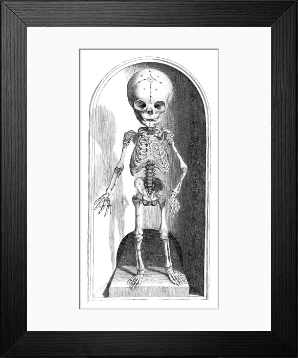 Framed Print : Anatomia humani corporis, Table 101, 1690 Framed Print : Anatomia humani corporis, Table 101, 1690