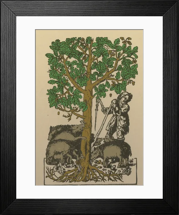 Framed Print : 'The Best Ham Grows On Oaks' Framed Print : 'The Best Ham Grows On Oaks'