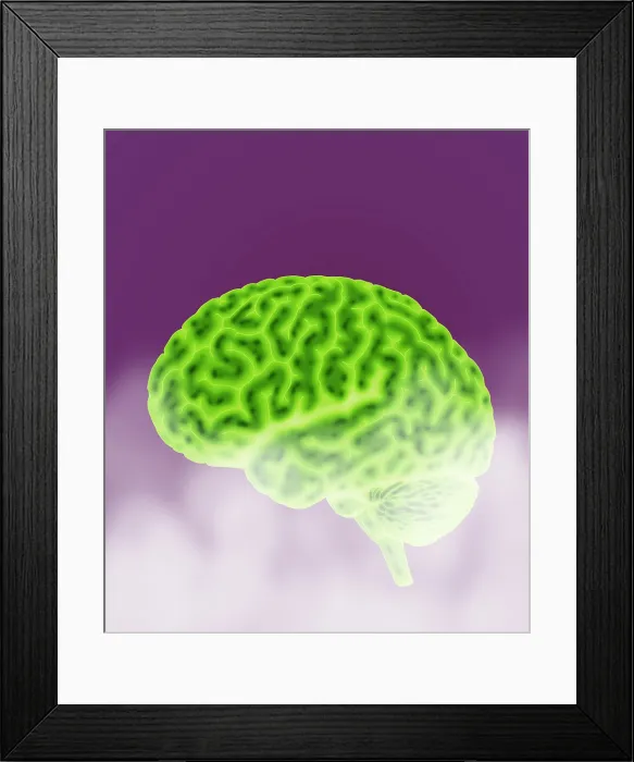 Framed Print : Conceptual Brain, Illustration Framed Print : Conceptual Brain, Illustration