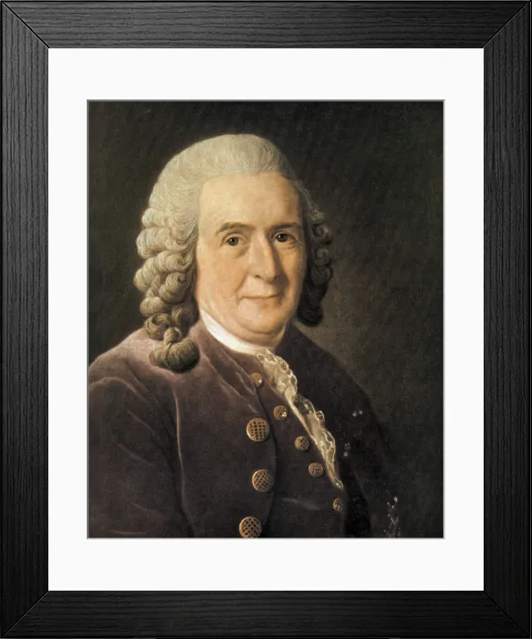 Framed Print : Carl Linnaeus, Swedish Botanist