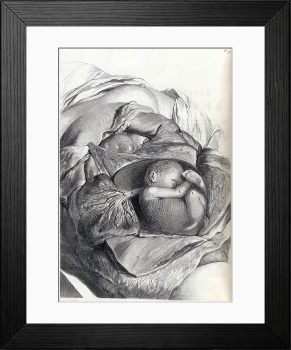 Framed Print : Anatomia humani corporis, Table 56, 1690