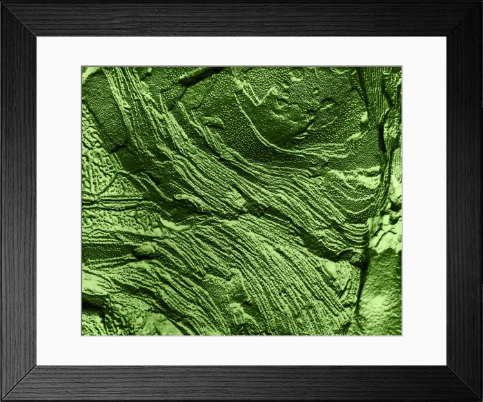 Framed Print : Chloroplast Membranes in Leaf Cell, TEM Framed Print : Chloroplast Membranes in Leaf Cell, TEM