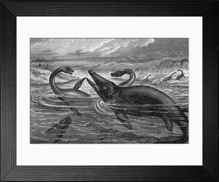 Framed Print : Dinosaur-Like Reptiles Swimming, Illustration