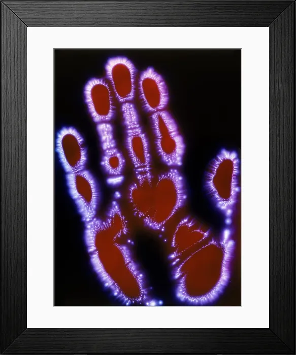Framed Print : Human Hand Framed Print : Human Hand