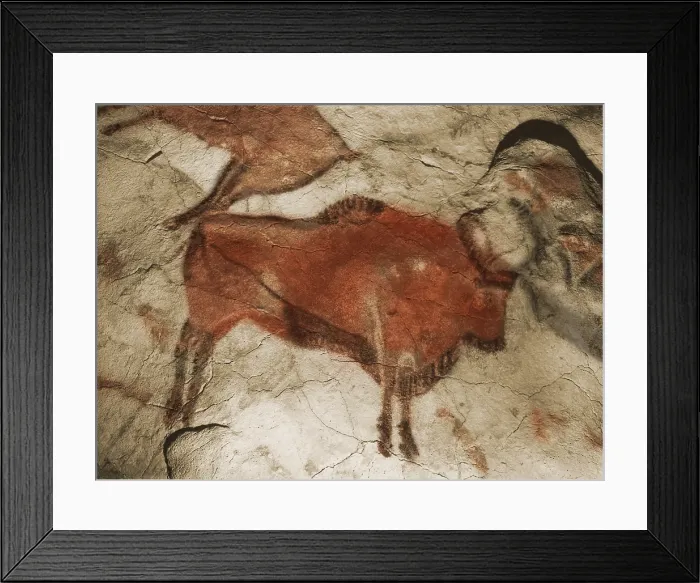 Framed Print : Paleolithic Cave Painting of a Bison, Altamira, Spain Framed Print : Paleolithic Cave Painting of a Bison, Altamira, Spain