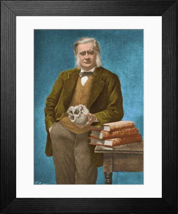 Framed Print : Thomas Huxley, English Biologist Framed Print : Thomas Huxley, English Biologist