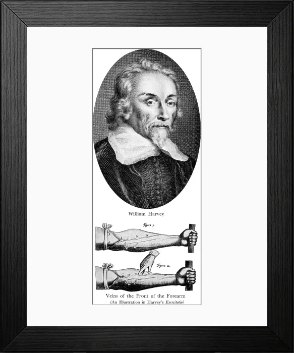 Framed Print : William Harvey, English Physician Framed Print : William Harvey, English Physician