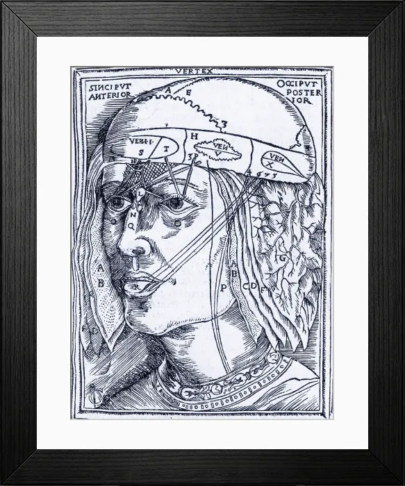 Framed Print : Layers of the Brain Framed Print : Layers of the Brain