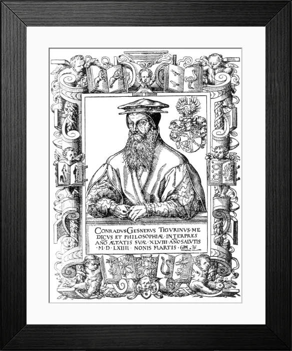 Framed Print : Conrad Gessner, Swiss Botanist and Zoologist Framed Print : Conrad Gessner, Swiss Botanist and Zoologist
