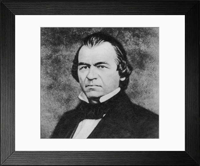 Framed Print : Andrew Johnson, 17th U.S. President Framed Print : Andrew Johnson, 17th U.S. President