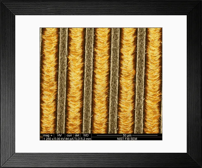 Framed Print : Nanowires, Nanowalls, scanning electron micrograph
