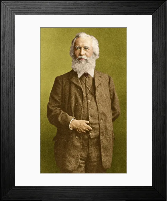 Framed Print : Ernst Haeckel, German Biologist Framed Print : Ernst Haeckel, German Biologist